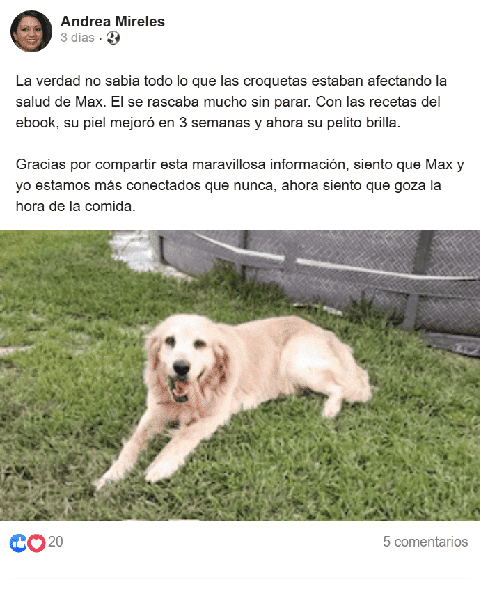 Testimonio 3