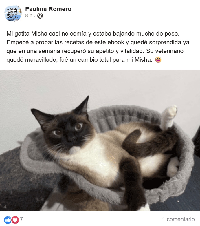misha