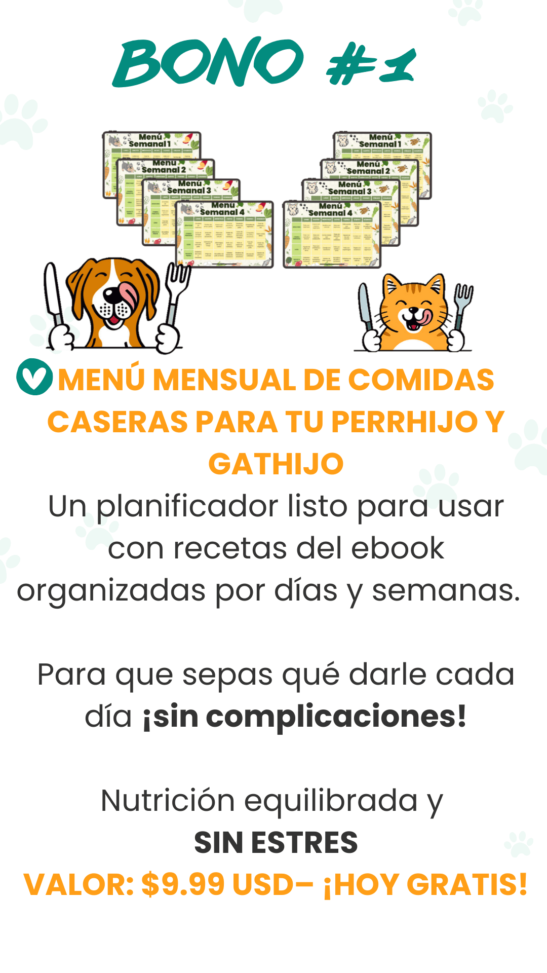 Bono 1 nuevo