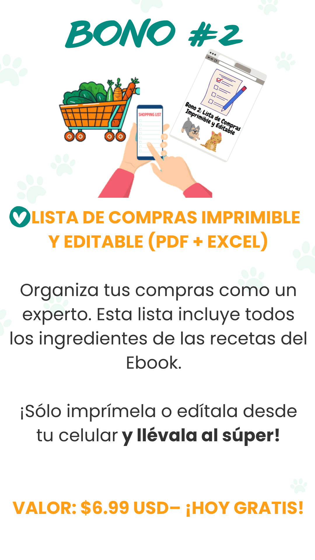 Bono 2 nuevo